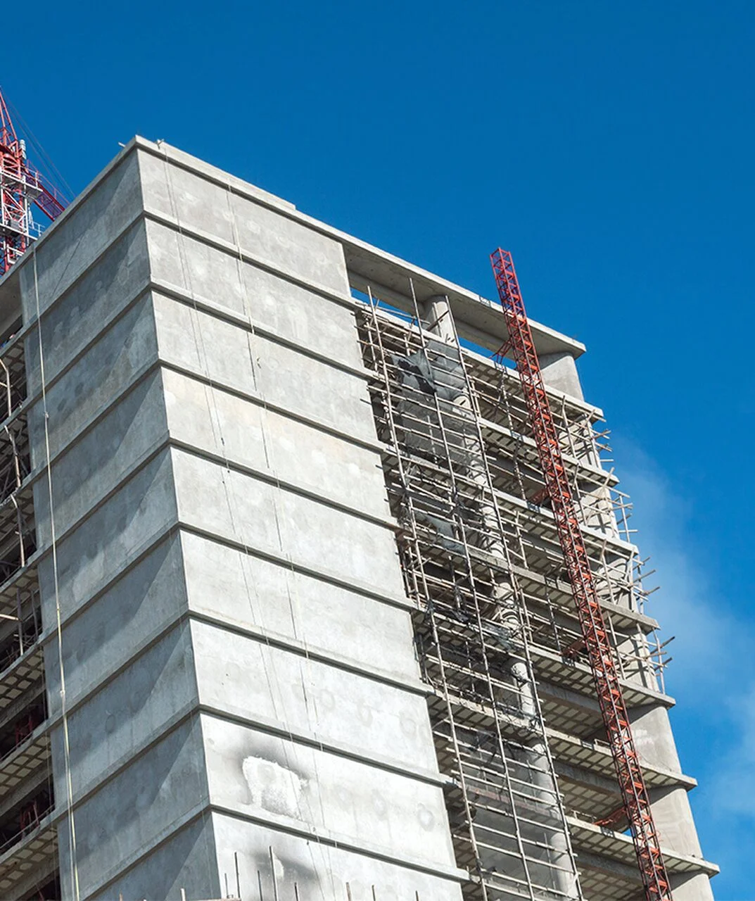 ft-7Prancheta-8_Easy-Resize.com_